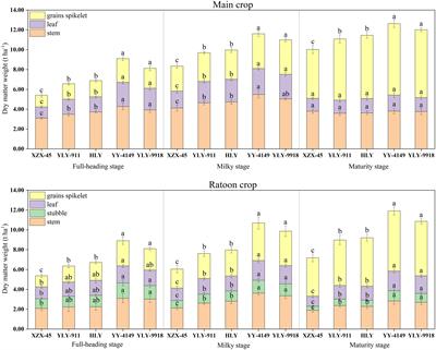 Difference in Cd accumulation among varieties with different growth duration corresponding to typical agro-climate condition in rice ratooning system